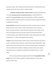 Knyga kaip medija 8 puslapis