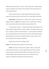 Knyga kaip medija 10 puslapis