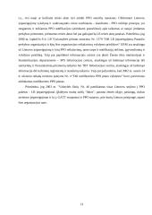 Lietuvos prekių eksporto dinamikos ir pagrindinių problemų analizė 13 puslapis