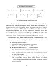 Lietuvos prekių eksporto dinamikos ir pagrindinių problemų analizė 5 puslapis