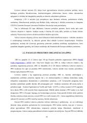 Lietuvos prekių eksporto dinamikos ir pagrindinių problemų analizė 10 puslapis