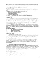 Komunikavimo procesas 6 puslapis