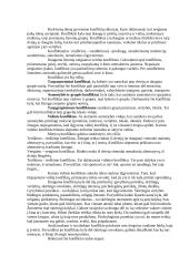 Konfliktų valdymo stiliai 2 puslapis