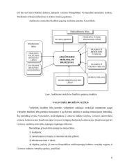 Lietuvos Respublikos (LR) aukštojo mokslo teisiniai pagrindai 6 puslapis