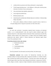 Makiažas ir kosmetika 11 puslapis