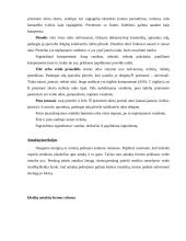 Makiažas ir kosmetika 12 puslapis