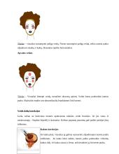 Makiažas ir kosmetika 18 puslapis