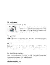 Makiažas ir kosmetika 20 puslapis