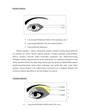 Makiažas ir kosmetika 6 puslapis