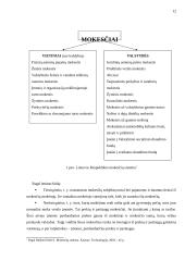 Lietuvos Respublikos (LR) mokesčių sudėties, struktūros ir jų kitimo analizė 12 puslapis