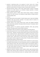 Lietuvos Respublikos (LR) mokesčių sudėties, struktūros ir jų kitimo analizė 19 puslapis