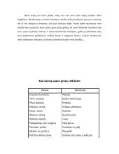 Socializacijos teorija 11 puslapis