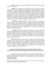 Tarptautinės teisės paskaitų konspektas 4 puslapis
