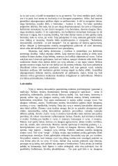 Vyro ir moters panašumai ir skirtumai 3 puslapis