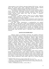 Adaptacijos problemos 4 puslapis