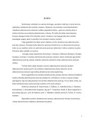 Administracinė justicija 2 puslapis