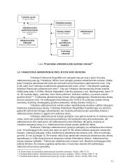 Administracinė justicija 11 puslapis