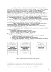 Administracinė justicija 12 puslapis