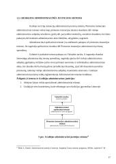 Administracinė justicija 17 puslapis
