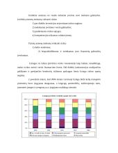 Lizingas, jo taikymo Lietuvoje plėtra 19 puslapis