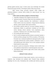 Lizingas, jo taikymo Lietuvoje plėtra 10 puslapis