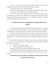 Administracinės teisės normos ypatumai 10 puslapis