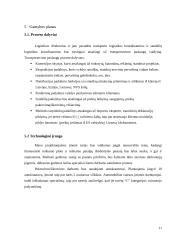 Logistikos įmonės kūrimas 11 puslapis