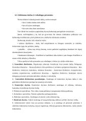 Logistikos įmonės kūrimas 15 puslapis