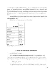 Logistikos įmonės kūrimas 19 puslapis