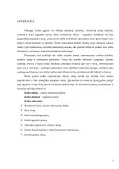 Logistikos įmonės kūrimas 3 puslapis