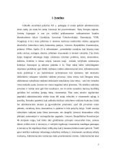Administracinės teisės pažeidimai Lietuvoje 2 puslapis