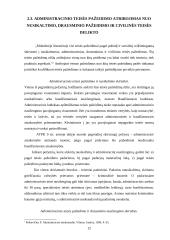 Administracinės teisės pažeidimas kaip administracinės atsakomybės pagrindas 12 puslapis