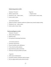 Marketingo strateginis planas: UAB "Grožis" 11 puslapis