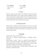 Marketingo strateginis planas: UAB "Grožis" 13 puslapis