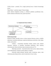 Marketingo strateginis planas: UAB "Grožis" 14 puslapis