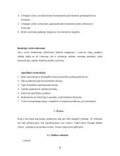 Marketingo strateginis planas: UAB "Grožis" 6 puslapis