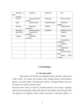 Marketingo strateginis planas: UAB "Grožis" 7 puslapis