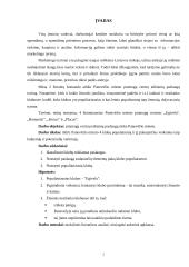 Pramogų centrų teikiamų paslaugų rinka Panevėžio mieste 2 puslapis