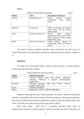 Pramogų centrų teikiamų paslaugų rinka Panevėžio mieste 11 puslapis