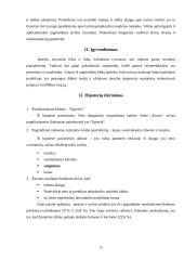 Pramogų centrų teikiamų paslaugų rinka Panevėžio mieste 16 puslapis