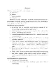 Pramogų centrų teikiamų paslaugų rinka Panevėžio mieste 17 puslapis