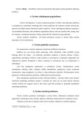 Pramogų centrų teikiamų paslaugų rinka Panevėžio mieste 5 puslapis