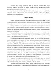 Pramogų centrų teikiamų paslaugų rinka Panevėžio mieste 7 puslapis