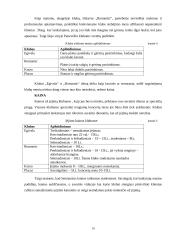 Pramogų centrų teikiamų paslaugų rinka Panevėžio mieste 10 puslapis