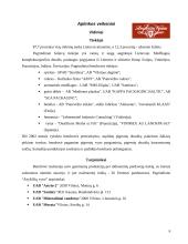 Marketingo tyrimas: alkoholio gamyba AB "Anykščių vynas" 6 puslapis