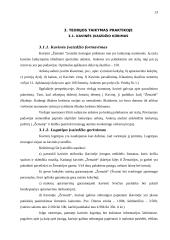 Marketingo veiklos organizavimas kavinėje  "Žemaitė" 12 puslapis