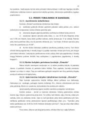 Marketingo veiklos organizavimas kavinėje  "Žemaitė" 13 puslapis