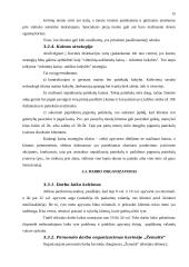 Marketingo veiklos organizavimas kavinėje  "Žemaitė" 14 puslapis