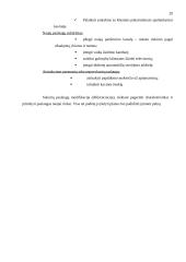 Marketingo veiklos organizavimas kavinėje  "Žemaitė" 19 puslapis