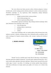 Marketingo veiklos organizavimas kavinėje  "Žemaitė" 3 puslapis